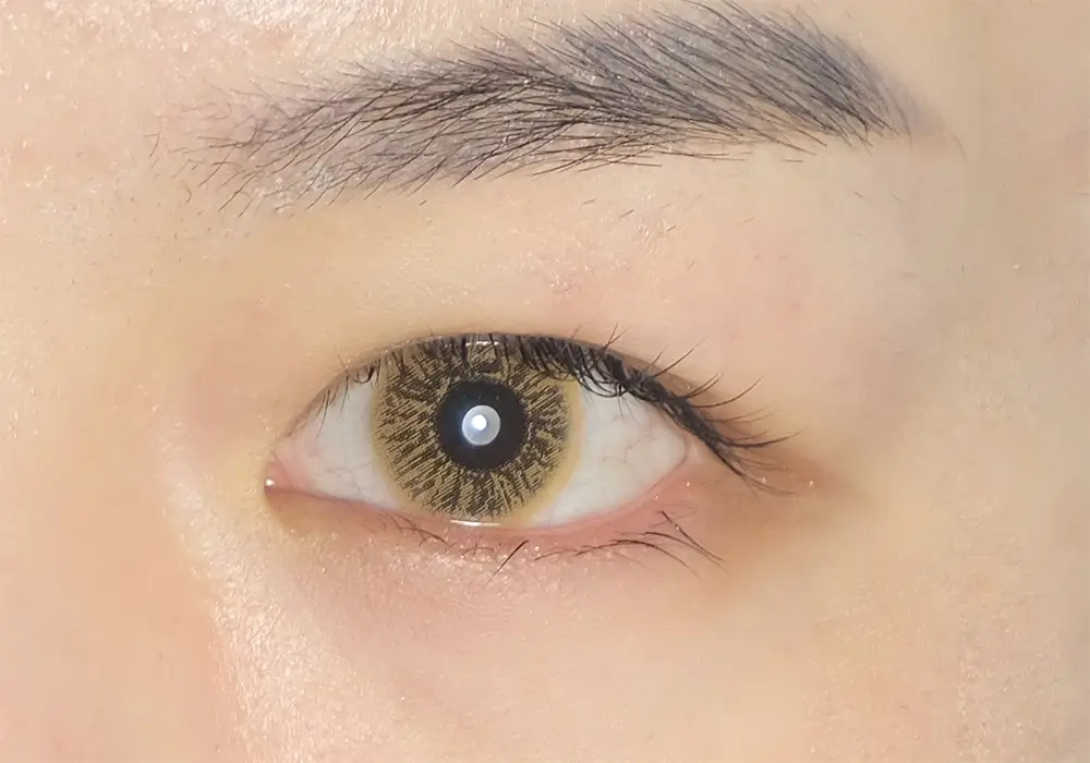 Hazel